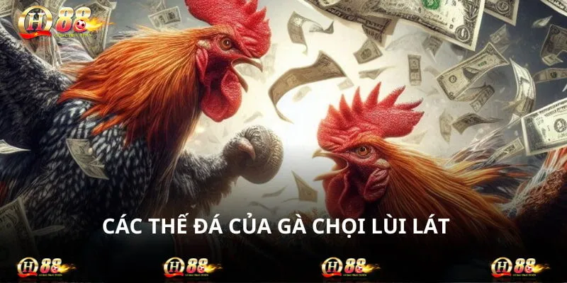 Chọi lùi còn có cách gọi khác là dắt dọc buông tát