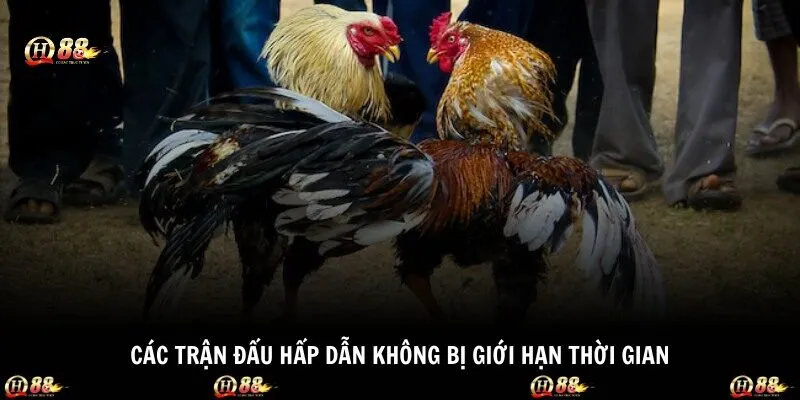 Các trận đấu hấp dẫn không bị giới hạn thời gian